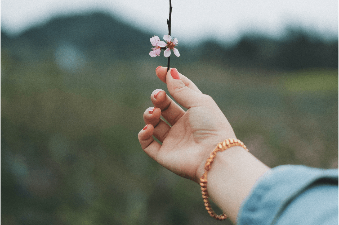 A woman with orange nails wearing a rose-gold chain bracelet holds two blossoming flowers from a tree during springtime