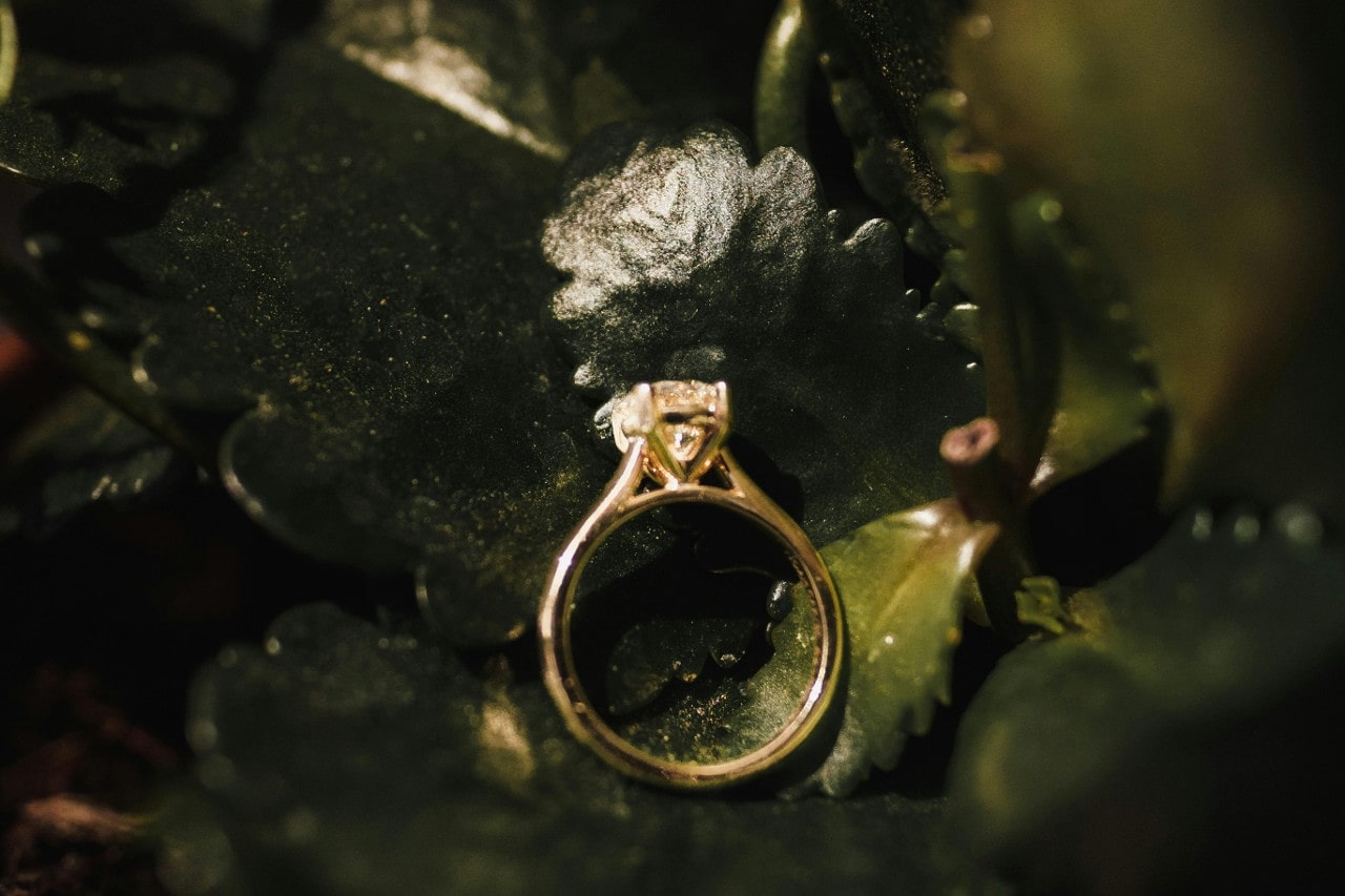 A yellow gold solitaire engagement ring lying on a bed of green leaves.